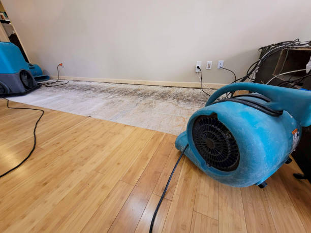 Professional Water Damage Repair technician working in Usk, WA